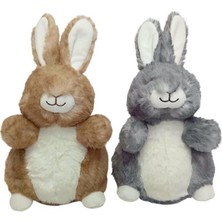 PB31548-23 Peluş Tavşan 23 cm