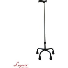 Feyza Design Gri Tripot Baston, 4 Ayaklı, Dayanıklı ve Hafif Tasarım