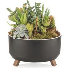 Feyza Design Çift Ayaklı 1,30 Lt Plastik Saksı, Şık ve Kullanışlı Tasarım