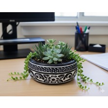 Gold Garden Beton Saksı Sukulent Bonzai Aranjman Teraryum Çiçek Saksısı 19x8cm (Bitkiler Hariç)