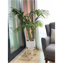 Beyaz Metal Saksı Ayaklı Çiçeklik 50X30CM Dekoratif Vazo