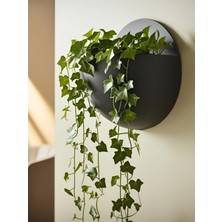 Şık 16X16 Duvara Asılan Çiçeklik Vazo, Huzur ve Doğallık Katacak