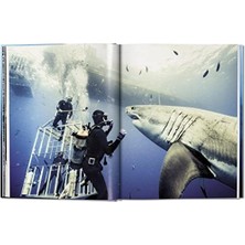 Michael Muller. Sharks