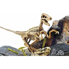 Liscianigiochi Bilim Seti: Super Kit Velociraptor