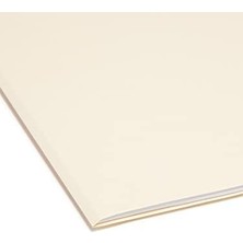 Indiziert Dosya Düzenleyici Set, Aylık (Jan-Aralık) Klasör, Güçlendirilmiş 1/5-Cut Tab, Size, Manila, 12 Pro Set (Navigasyon Cihazı)