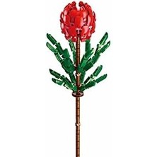 Pleyerid Begonvil Yapım Seti, 243 Parça