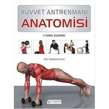 Kuvvet Antremanı Anatomisi