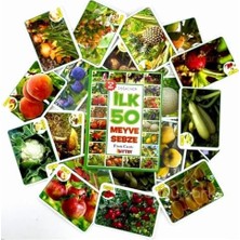 Oyuncak Minik Bebeğimin Ilk 50 Meyve Sebze Kartları Kartlar Eğitici Kitap Anaokulu ve Kreş Seviyesi Için Uygun