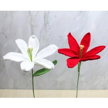 Soi Home El Örgüsü Zambak Çiçeği