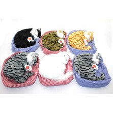 Livenda Yastıkda Uyuyan Horlayan Kedi Sesli ALK3416