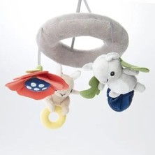 Gullıgast Dönence, Çok Renkli