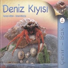 Colezium Çevir Bak Deniz Kıyısı