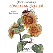 Colezium Günebakan Çiçekleri