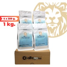 Bigcats Kenya Nyeri Aa Filtre/çekirdek Kahve 1 kg