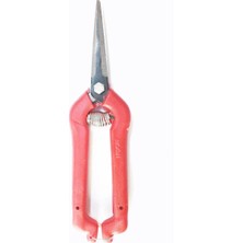 Belle Fusion Üzüm ve Narenciye Makası Sivri Uçlu