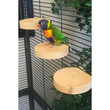 Alyones Kurutulmuş Çam 3’lü Yuvarlak Ahşap Tünek Seti – Montaj Donanımlı