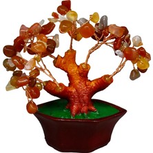 Feyza Design Doğal Taşlı Bonsai Hayat Ağacı ile Enerji ve Motivasyon Kaynağı