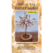 Feyza Design Hayat Ağacı Sitrin Taşı, Pozitif Enerji ve Şifa Kaynağı