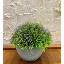 FB Cup Loft Serisi Dekoratif Gri Saksılı Bodur Çim (13 cm x 17 Cm)