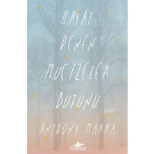 Hayat Denen Mucizeler Bütünü