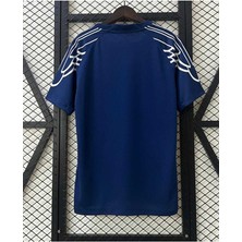 Alaturka Mix Psg, Yeni Sezon Isimsiz Alternatif Forması (Fourth Kit )