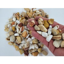 Renkli Çakıl Taşı 2 kg 1-2 Cm, Teraryum ve Saksı Dekorasyonu Için