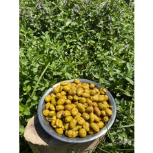 Ulu Yöresel Hatay Usulü Kırık Zeytin 1 kg