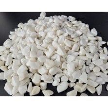 Beyaz Çakıl Taşı 5 kg 1-2 Cm, Teraryum, Vazo ve Dekorasyon Için