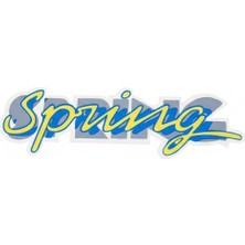 Çınar Online Store Renault Spring Folyo Sticker Yazı