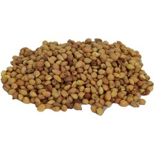 Bilfold Mahlep Doğal Tane 100 gr Paket