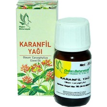 LTG Nova Karanfil Yağı 20CC