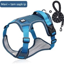 Duomm Köpek Tasması ve Gezdirme Halatı Göğüs ve Sırt Setli (Reflektörlü)