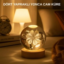Epilons USB Bağlantılı Yonca Bitkili Cam Küre Ahşap Altlıklı Dekoratif Lamba