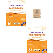 Okyanus Yayınları Okyanus 6. Sınıf Classmate Matematik ve Fen Bilimleri 36 Haftalık Deneme + Telefon Standı