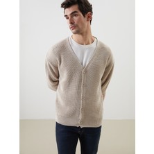 Lc Waikiki Yeni Sezon Standart Kalıp V Yaka Erkek Triko Hırka