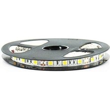 CT-4480 3 Çip Şerit LED Iç Mekan, Beyaz, 5 M