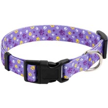 Köpek Boyun Tasması M Beden