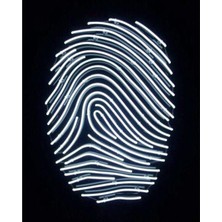 Parmak Izi Dekoratif Neon LED Aydınlatma