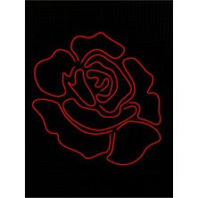 Gül Neon LED Işık
