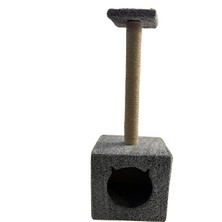 Patilemece Kedi Tırmalama Tahtası New York