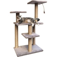 Patilemece Kedi Tırmalama Tahtası Hong Kong