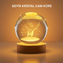 Nilavia 3D Geyik Desenli Kristal Küre USB Işıklı Ahşap Tabanlı Oda Lambası - AL002A-61S424