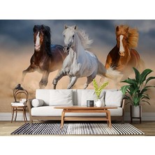 Grown Koşan Kahverengi ve Beyaz Atlar Duvar Kağıdı