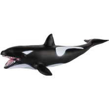 JQ-008B Deniz Hayvanları -Gepettoys