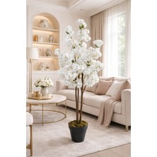 Maki Dekor Yapay Lüks Sakura 150 cm Boyunda 3 Gövdeli Dekoratif Ev ve Ofis Ağacı