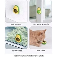 Melfxxl Avokado Kedi Nanesi Cat Mint Oyun Topu