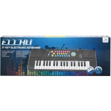 01946 Sunman-Eccho, Mikrofonlu Elektronik Org 37 Tuşlu