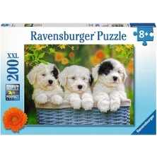 127658 Cuddly Puppies 200 Parça Xxl Ravensburger Puzzle