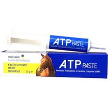 N-Active Atp Pasta 60 ml