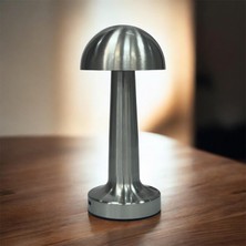 Şahane Home Ledli Msa Lambası